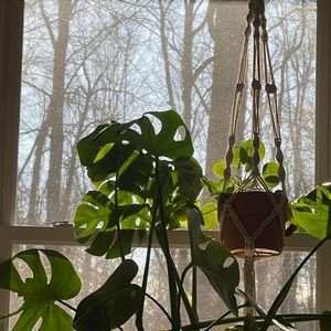 Meet your Posher, Eli